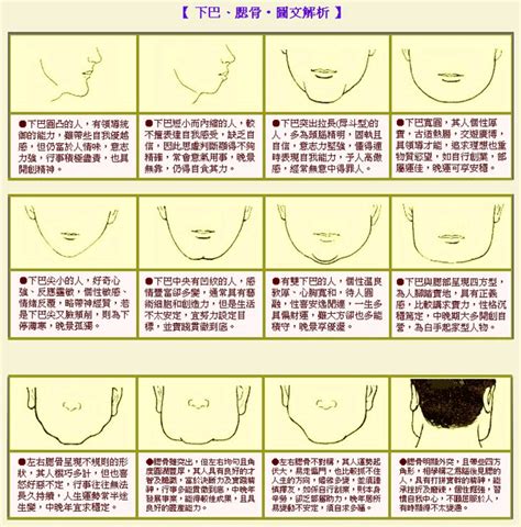 長下巴面相|【下巴長面相】下巴長的面相大公開：財運亨通、貴人扶植，福氣。